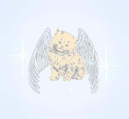 angel-cat.JPG