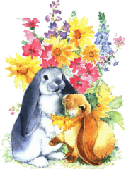 bunny.gif