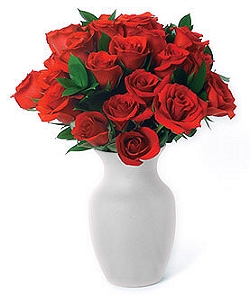 doz-roses.jpg