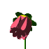 fl02.gif