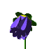 fl03.gif