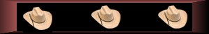 horsebar.jpg