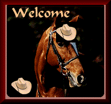 horsewel.gif