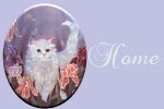 kittenhome.jpg