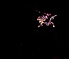 fire-works_2.gif