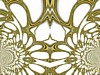 goldlacebk.jpg
