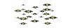 goldstars.gif