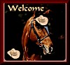 horsewel.gif