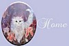 kittenhome.jpg