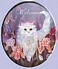 kittenwel.jpg