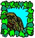 nest.gif