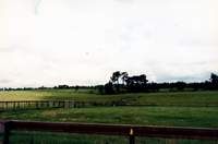 Facing North