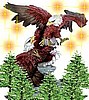 eagle_2.jpg