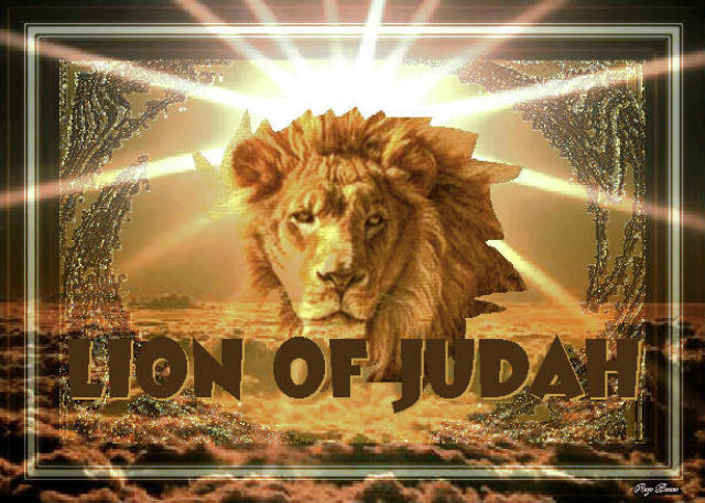 lion of judah wallpaper. lion of judah wallpaper. live