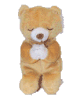 anibearpray.gif