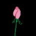 anirose.gif