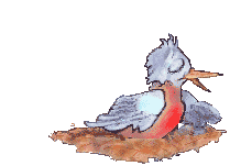birdnest.gif