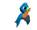 bluebird.gif