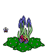 butterflyflower.gif