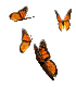 butterflys.gif