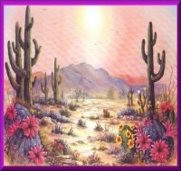 cactuspic.jpg