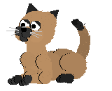 cat-simo.gif