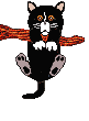 catlazy.gif