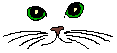 catseyes.gif