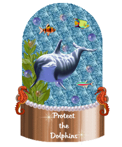 dolphinglobe.gif