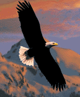 eagle.gif