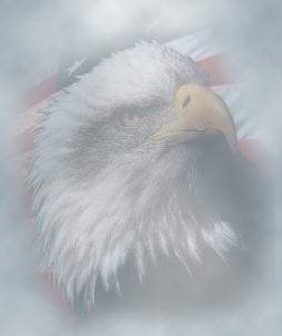 eaglebk.JPG