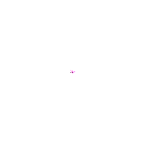 fireworks2.gif