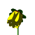 fl01.gif