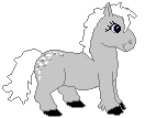 greypony.gif