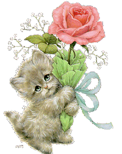 kitty-rose.gif