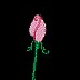 anirose.gif