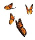 butterflys.gif
