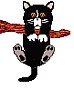 catlazy.gif
