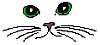 catseyes.gif