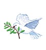 dovefly.gif