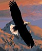 eagle.gif