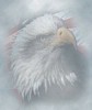 eaglebk.JPG
