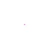fireworks2.gif