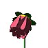 fl02.gif