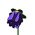 fl03.gif