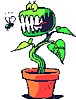 venusflytrap.gif