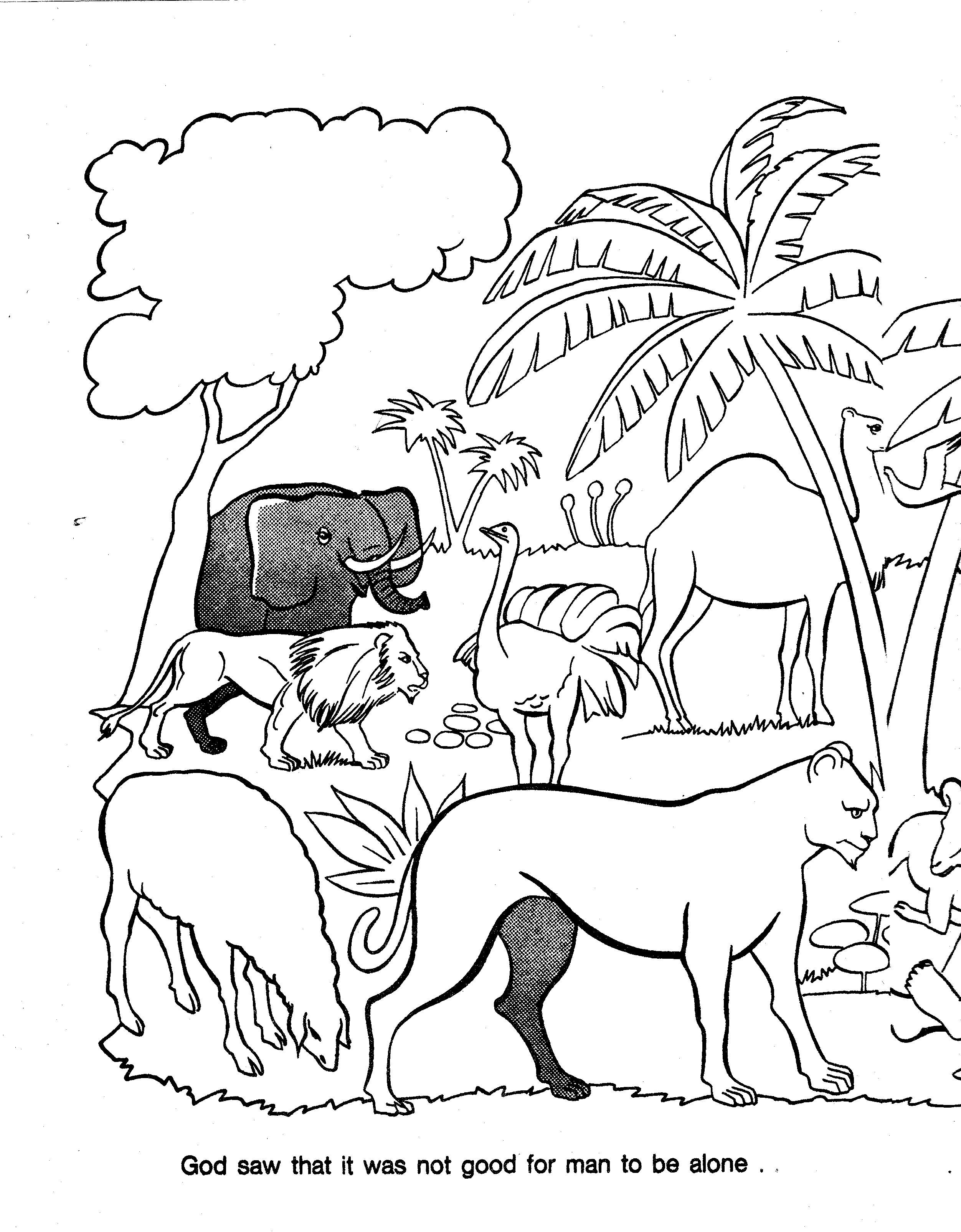 Bible coloring book