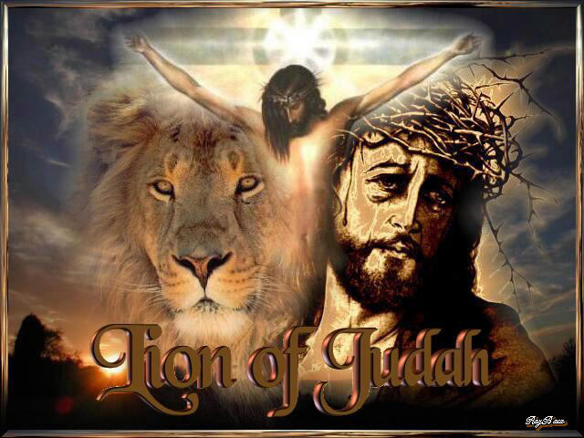 Judah Lion